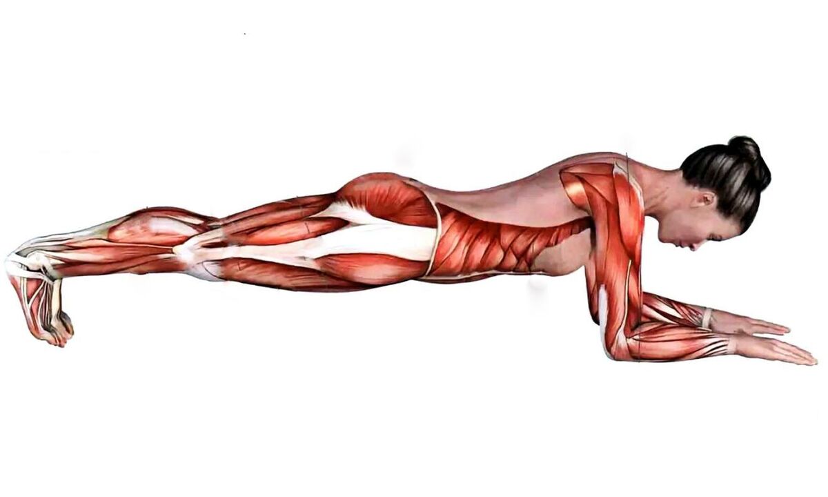 ποιοι μύες λειτουργούν όταν σανίδα